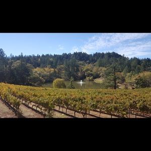 Meet your Posher, Jack